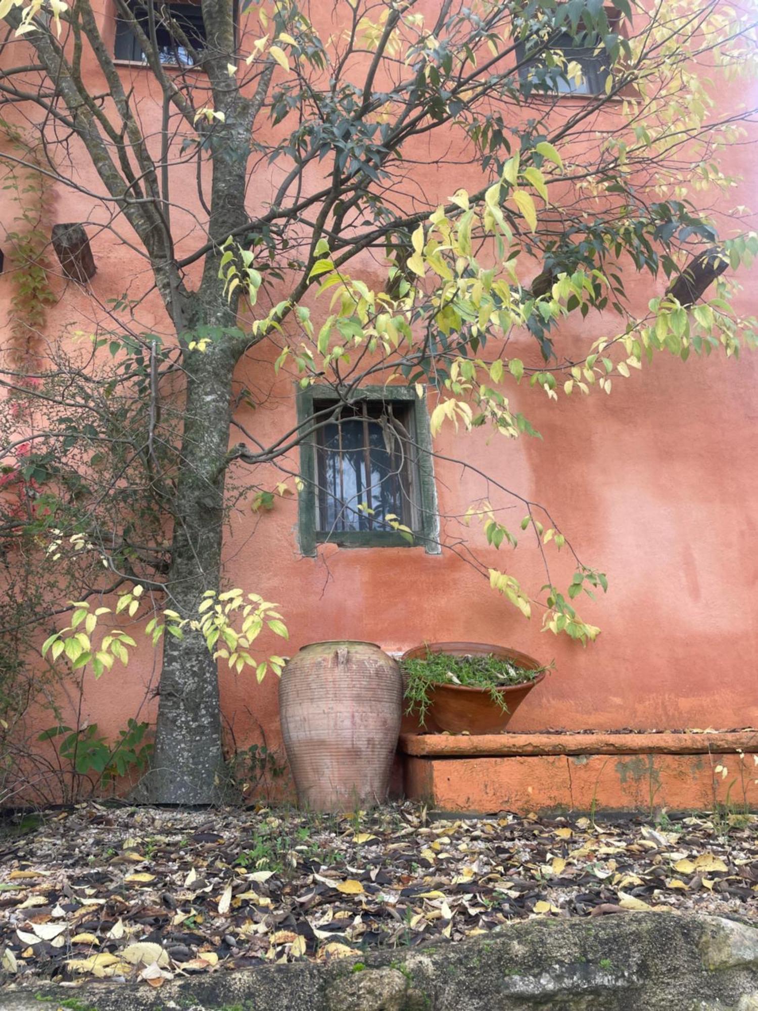 Maset Del Riu Guest House Valderrobres Exterior photo